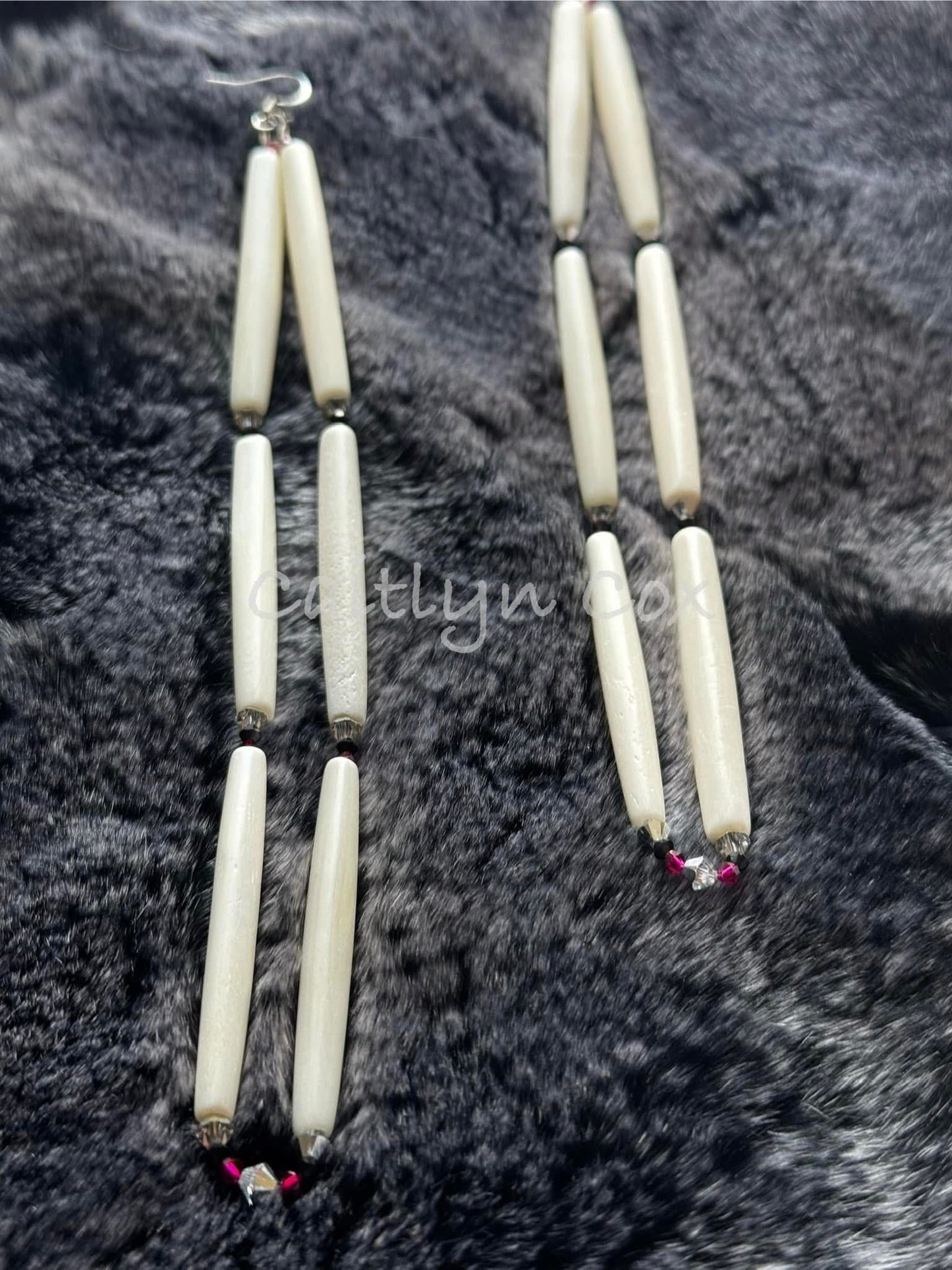 Hairpipe Bone Earrings