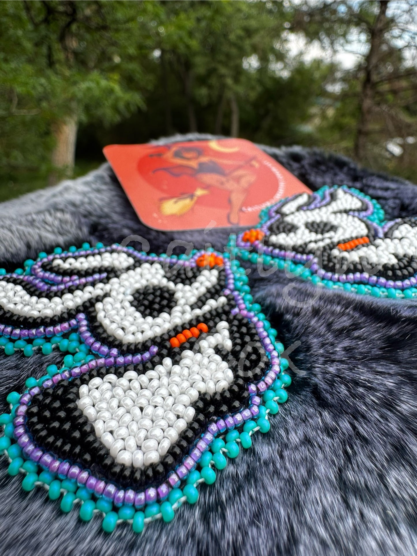 Skeleton’s Best Friend
